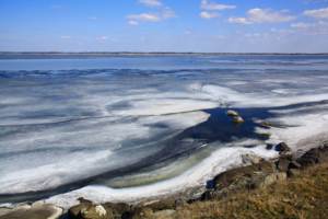 Лёд тронулся