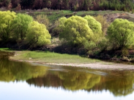 Весна.Дон.