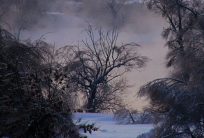 туман над зимней речкой