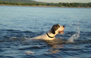 водные забавы