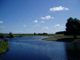 река в деревне Суворово