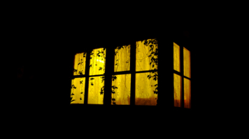 Ночь улица окно