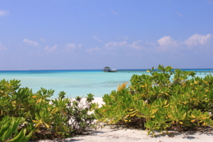 Мальдивский пейзаж.