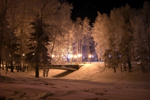 Мостик в зимнем парке