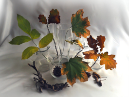 Листья и стекляшки