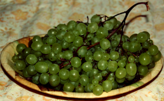 Дачный виноград