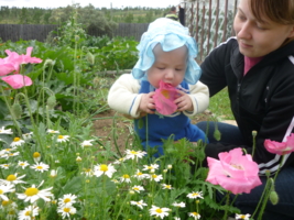 Димочка изучает цветочки в саду