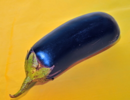 Solanum melougena