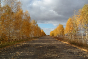 дорога в осень