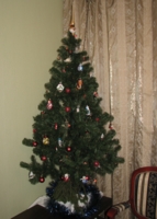 Новый 2012 год - наша елка