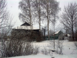 Зимний пейзаж (вид из окна)
