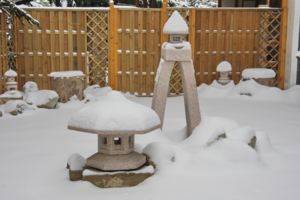 Зима в японском саду