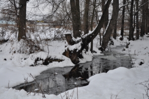 Зимний ручей