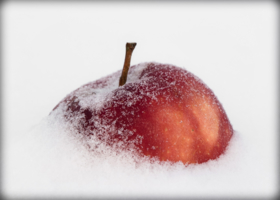Яблоко на снегу.