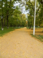 Парк г.Зерноград