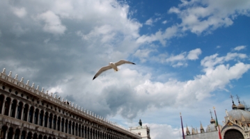 Полет над Венецией