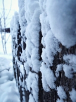 Забор в снежинках.