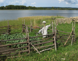 Огород нагородили