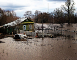 Большая вода