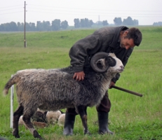 Влюбленный пастух.