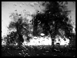 Дождь...Сижу в машине...
