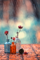 Минимализм и дождь