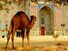 Красиво однако...