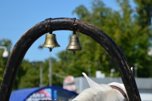 Однозвучно звенит колокольчик