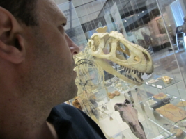 Тарбозавр... 65 млн. лет спустя