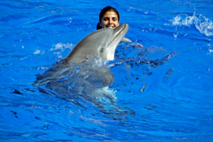 Дельфин и русалка