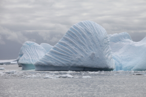 Стражник айсбергов Антарктиды