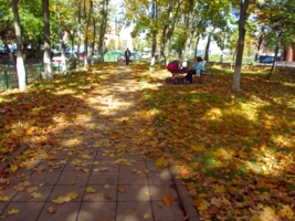 Осень в нашем парке.