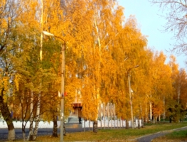 Золотая осень