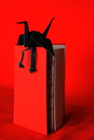 Черный журавль из Красной книги
