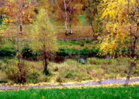 Осень землю осыпает...