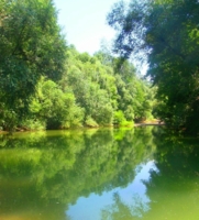 река летняя