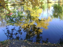 Осень в зеркале пруда...