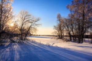 Зимний пейзаж в контровом свете