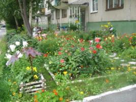 Цветущий старый двор
