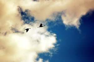 Two in the sky