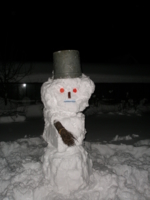 Снежный защитник :)