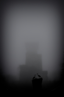 Силуэты в тумане