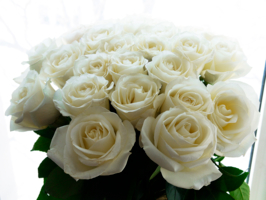 любимые белые розы...