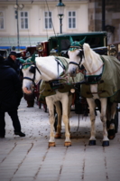 Венские лошадки