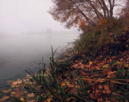 Осень у реки