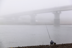 рыбалка в тумане