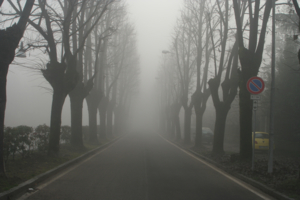дорога в туман