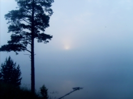 Раннее утро на озере
