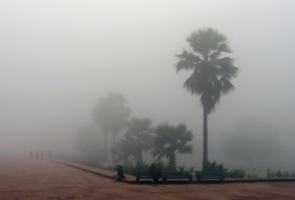 Январское утро в Индии.