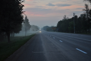 Туман переходит через дорогу
